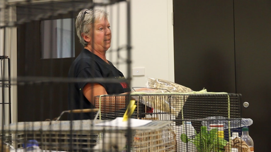 Woman holding chicken in workshop environment