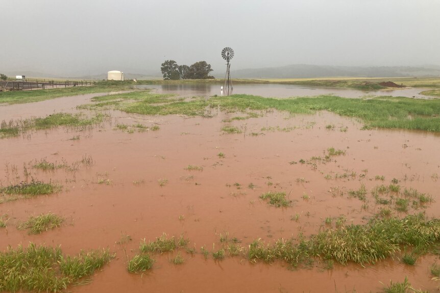Flash flooding near Robertstown SA