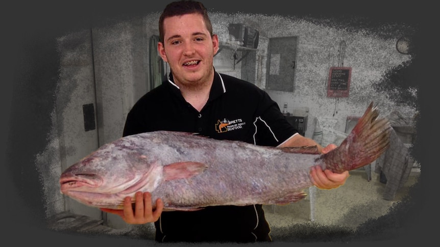 A young man holding a really big fish.