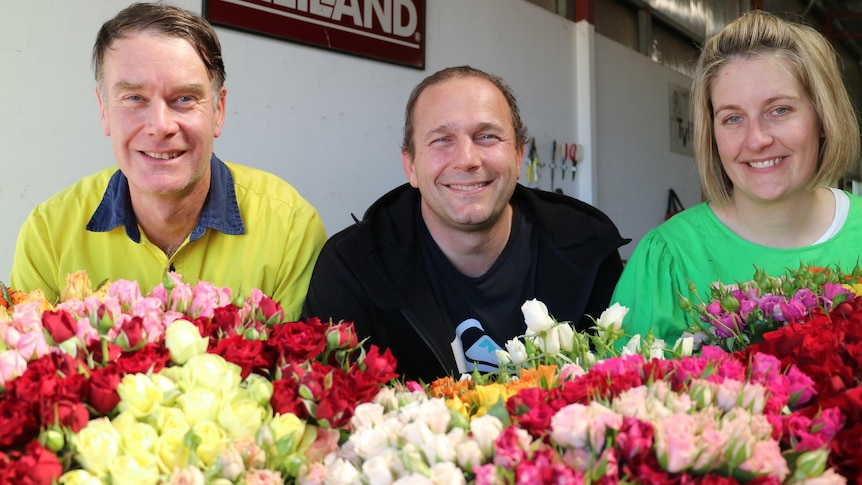 French connection to Tasmanian roses pays off in cut flower market