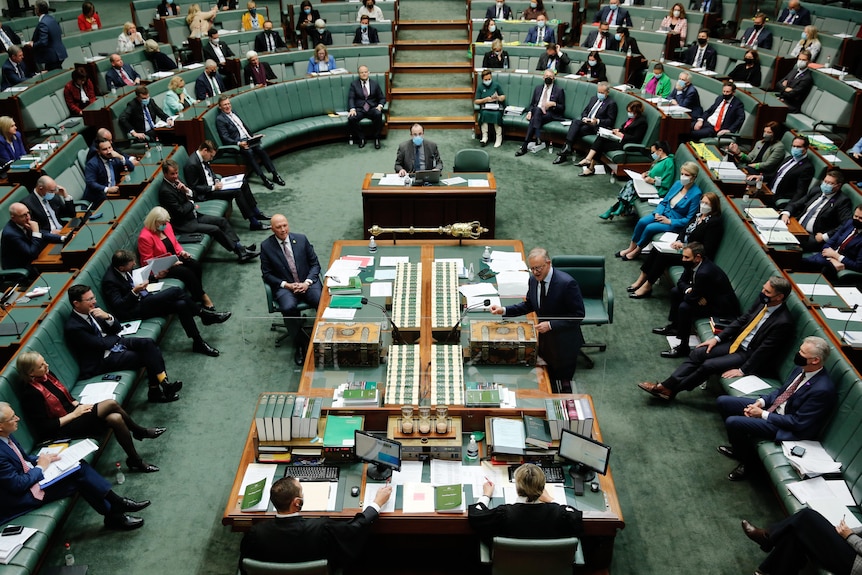 A wide shot of the House of Representatives full of MPs. 