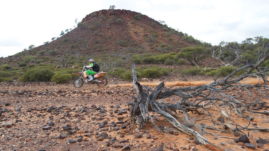 A Moto competitor in the Australasian Safari 2013 has died after an accident in Western Australia's remote Gascoyne region.