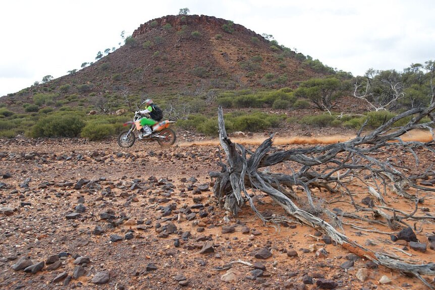 A Moto competitor in the Australasian Safari 2013 has died after an accident in Western Australia's remote Gascoyne region.