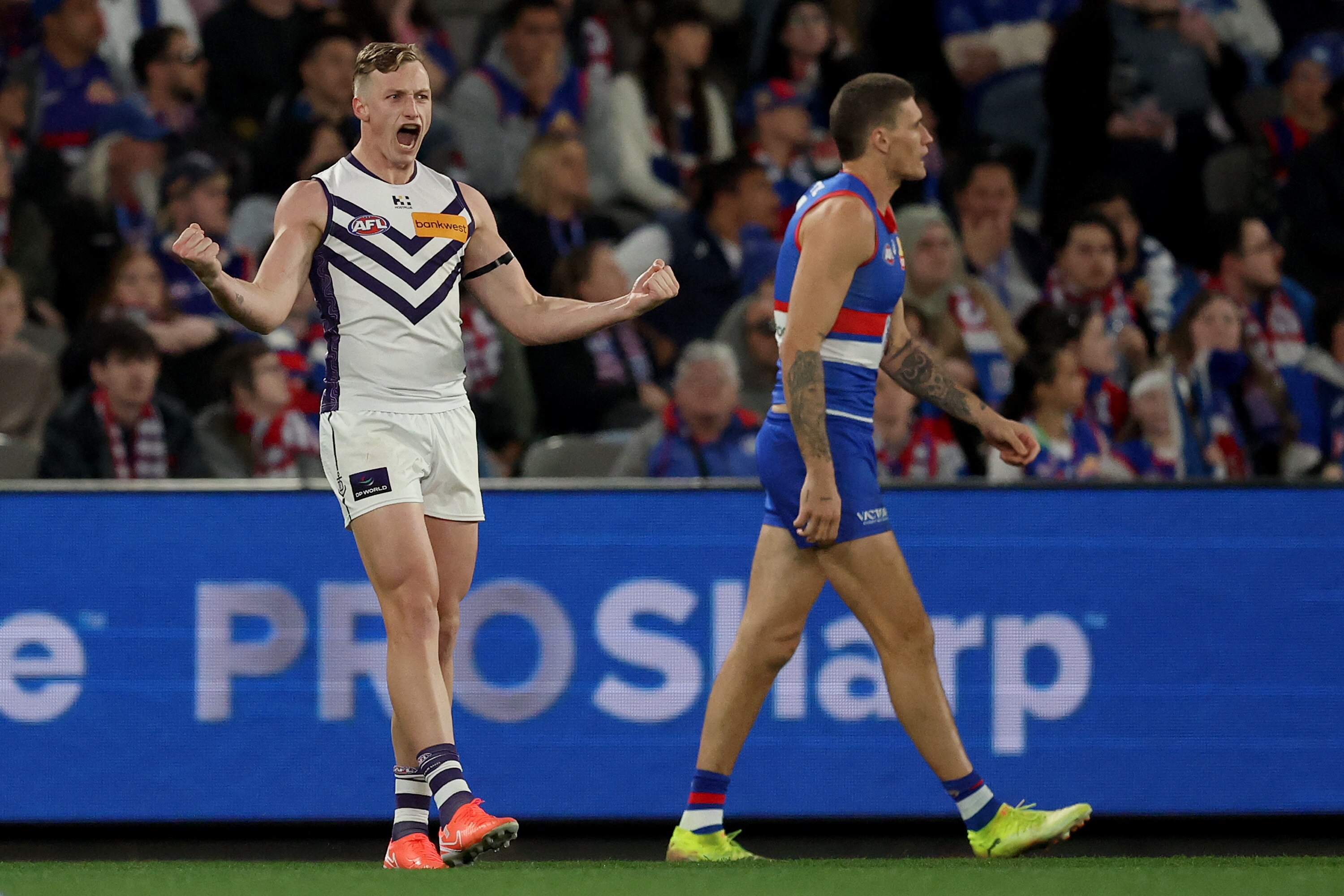 Dogs sweat on Wednesday's result and 'sloppy' Hawks