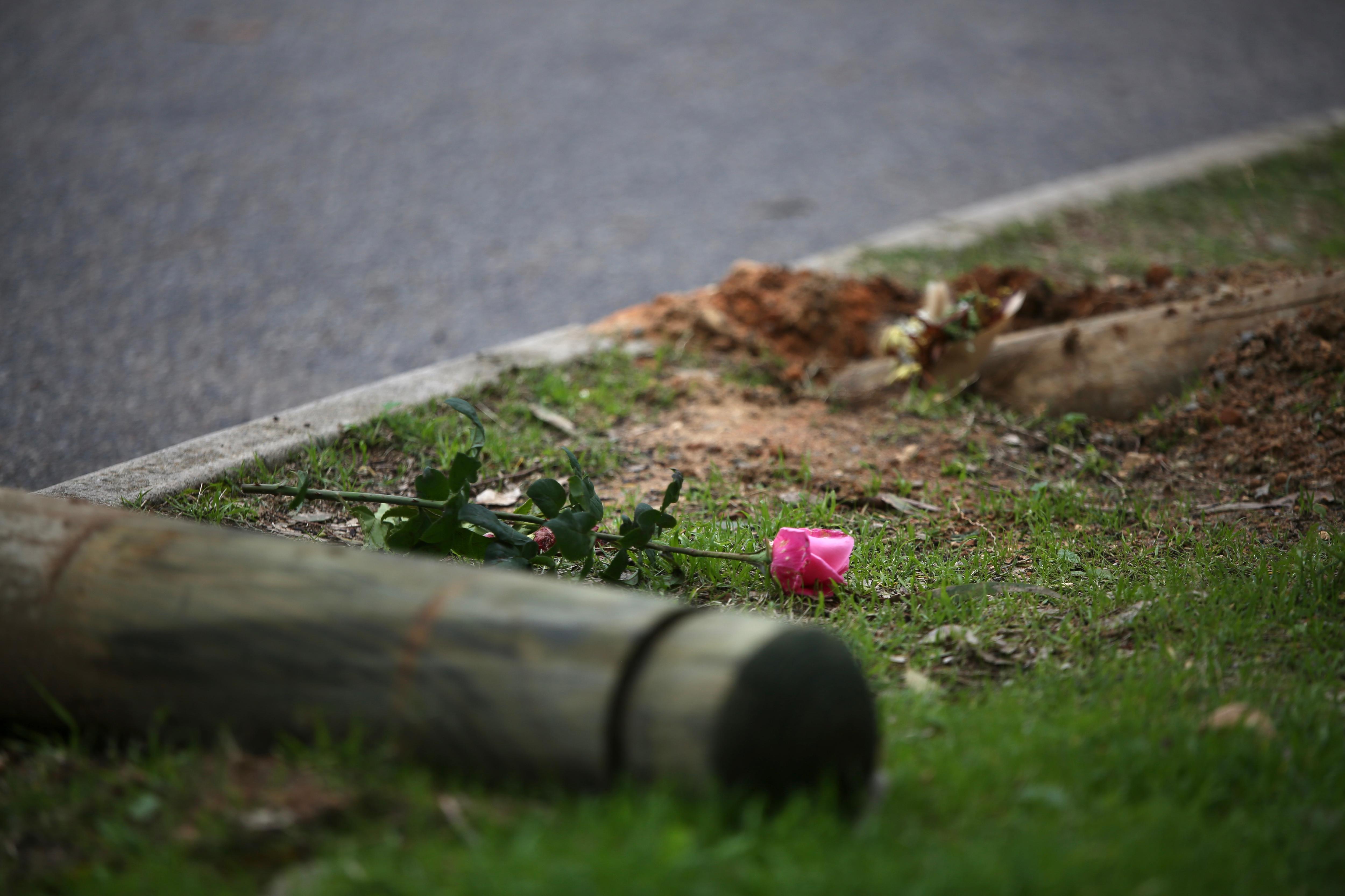 A close-up shot of a pink flower next to a knocked over wooden bollard by the roadside.