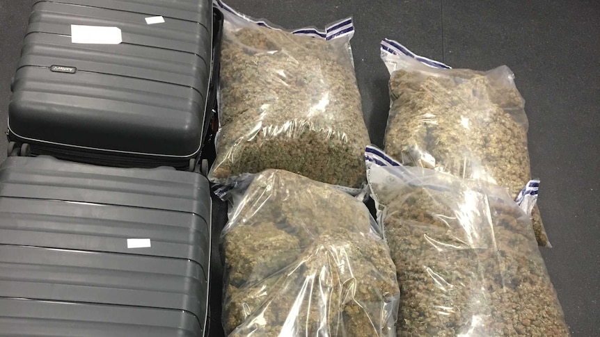 Cannabis allegedly found in suitcase at Adelaide Airport