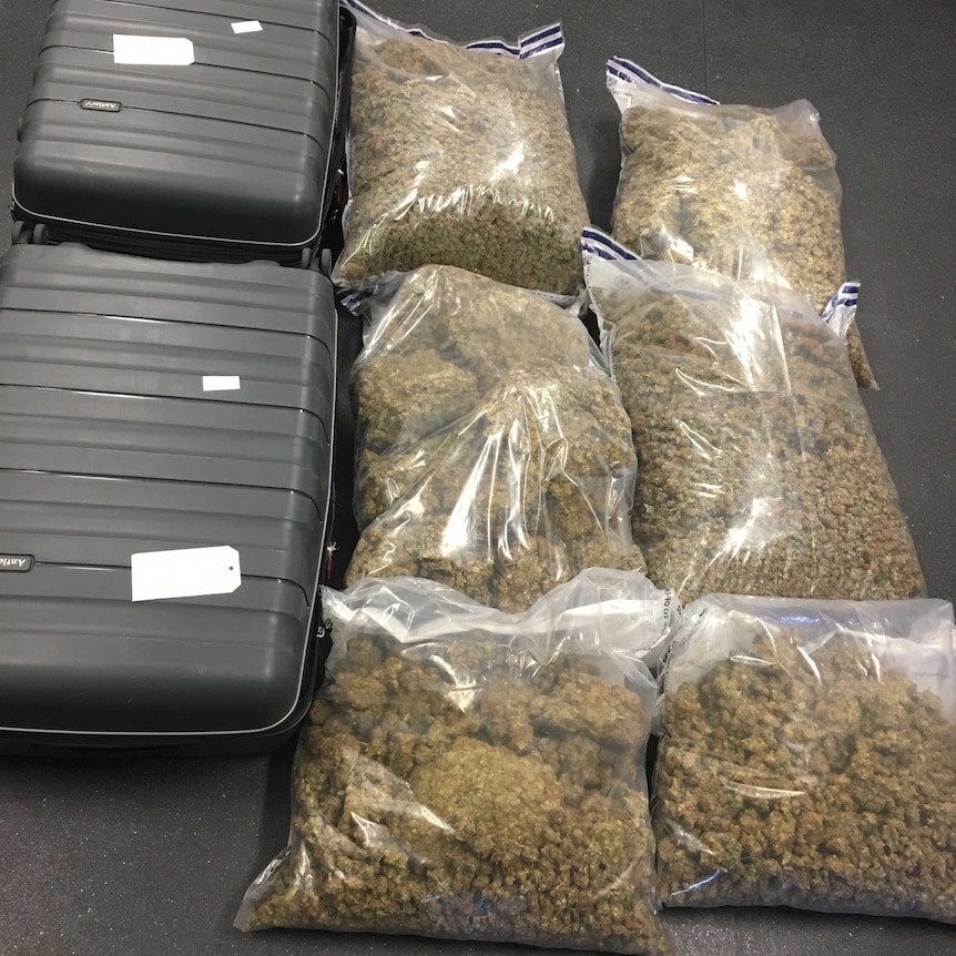 Cannabis allegedly found in suitcase at Adelaide Airport