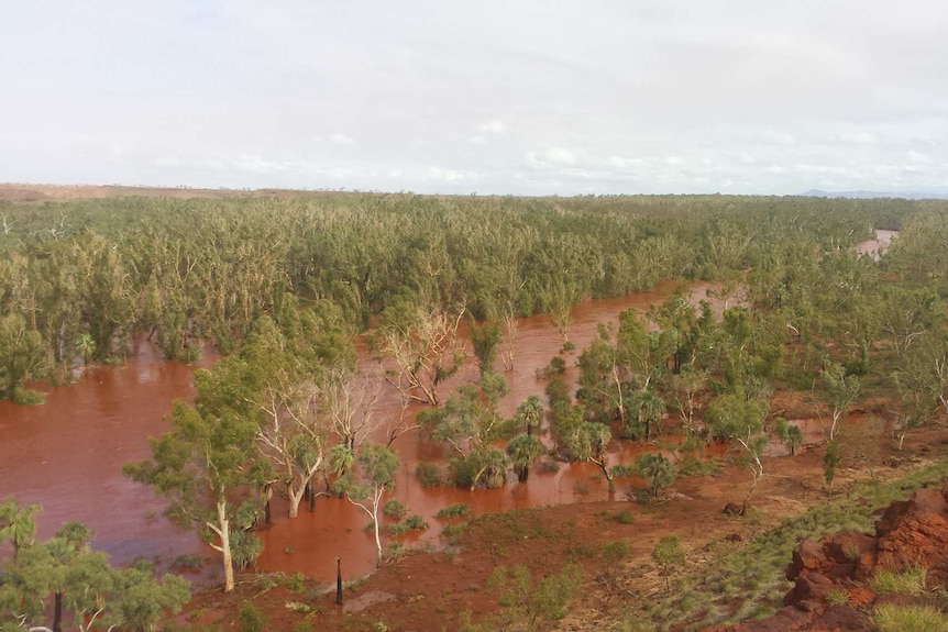 Rain from Tropical Cyclone has filled waterways and dams