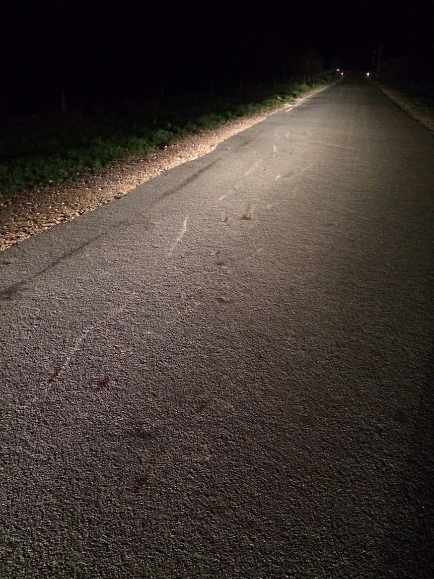 Marks left on the Urana-Boree Creek Road after a horse was allegedly towed behind a vehicle