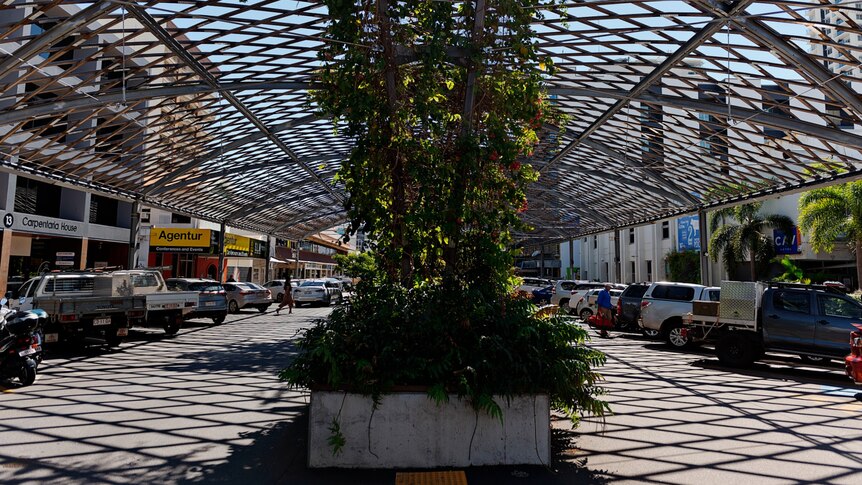 Vines grow up the middle of a wooden structure on a street in the Darwin CBD.