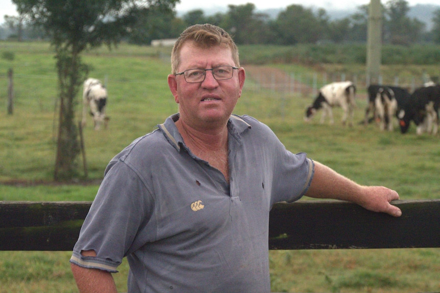 A farmer in a paddock near cows.