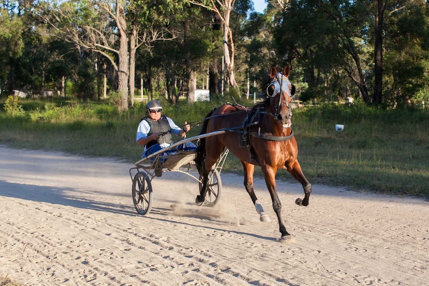 A harness racer heads around a track with his horse.