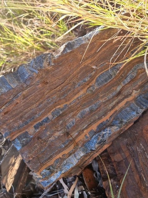 A rock with asbestos fibres in Wittenoom.