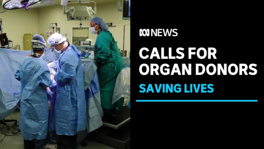 Calls for organ donors, saving lives: Three people in surgical gowns stand in a operating theatre