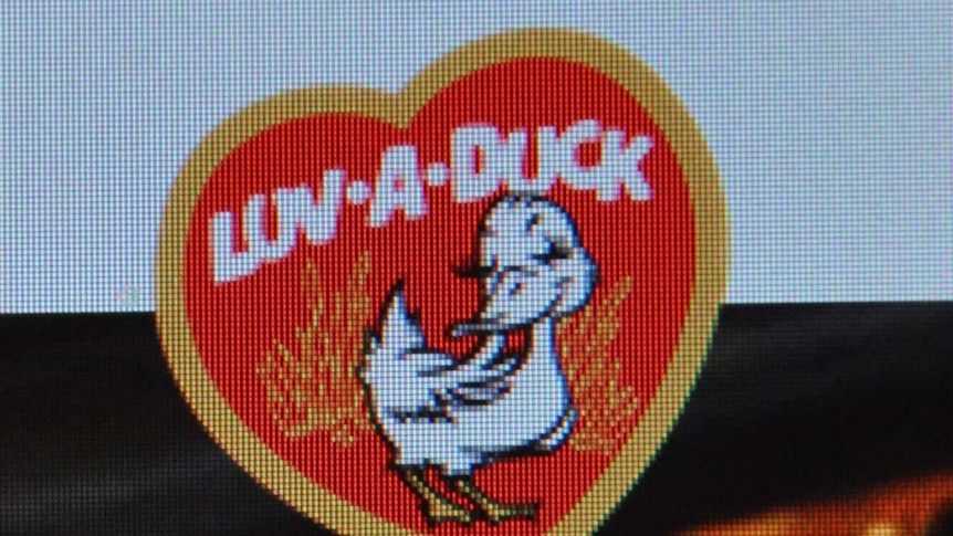 Luv-a-Duck