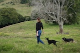 Raya Brunello walking with her two pet dogs on their rural property at Clunes, west of Byron Bay