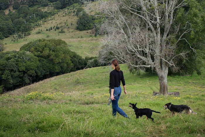 Raya Brunello walking with her two pet dogs on their rural property at Clunes, west of Byron Bay