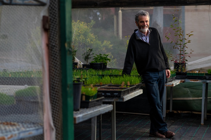 A man standing in a shed with seedlings