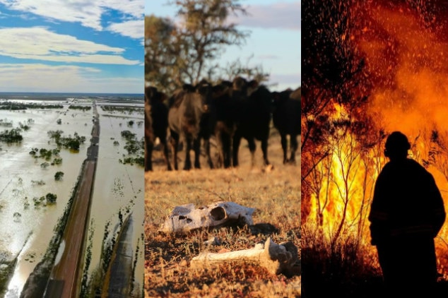 Three photos of a flooded highway, a cattle skull on dry ground and a fire fighter near a bushfire.