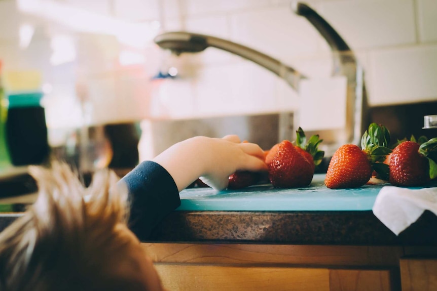 Young child goes to grab a strawberry off a bench top.