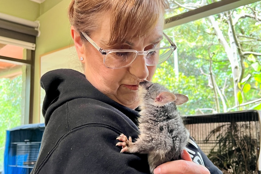 Lisa Palma touching noses with a brushtail possum