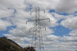 Powerlines in Tasmania