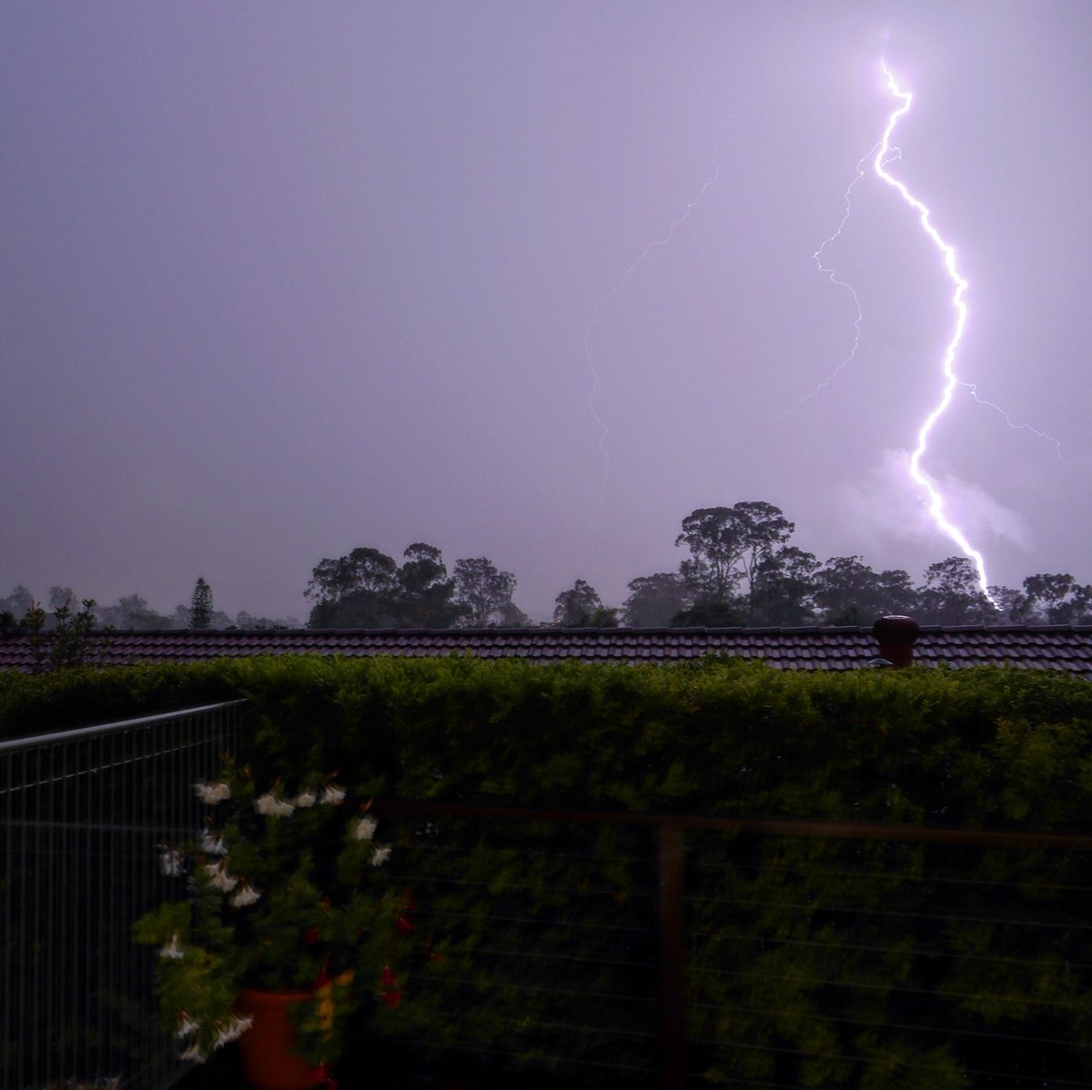 A huge bolt of lightning is seen over the trees on a dark night.
