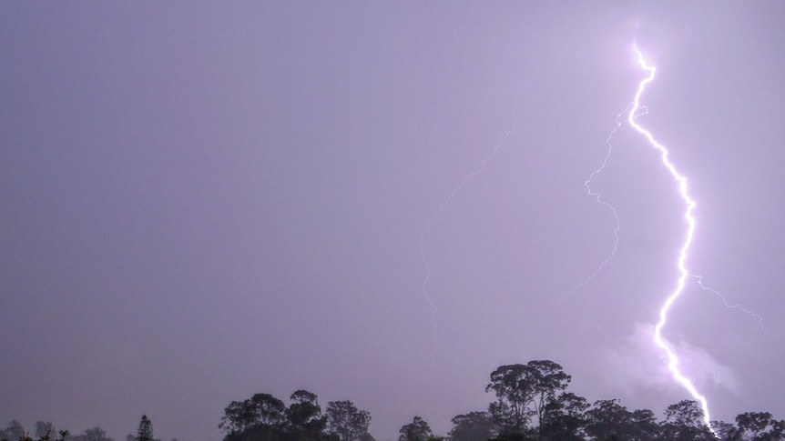 A huge bolt of lightning is seen over the trees on a dark night.