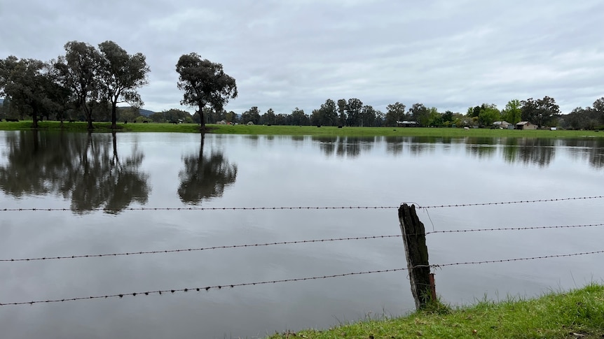 A flooded paddock beneath an overcast sky.