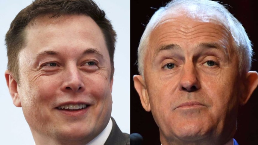 A composite of Elon Musk and Malcolm Turnbull