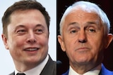 A composite of Elon Musk and Malcolm Turnbull