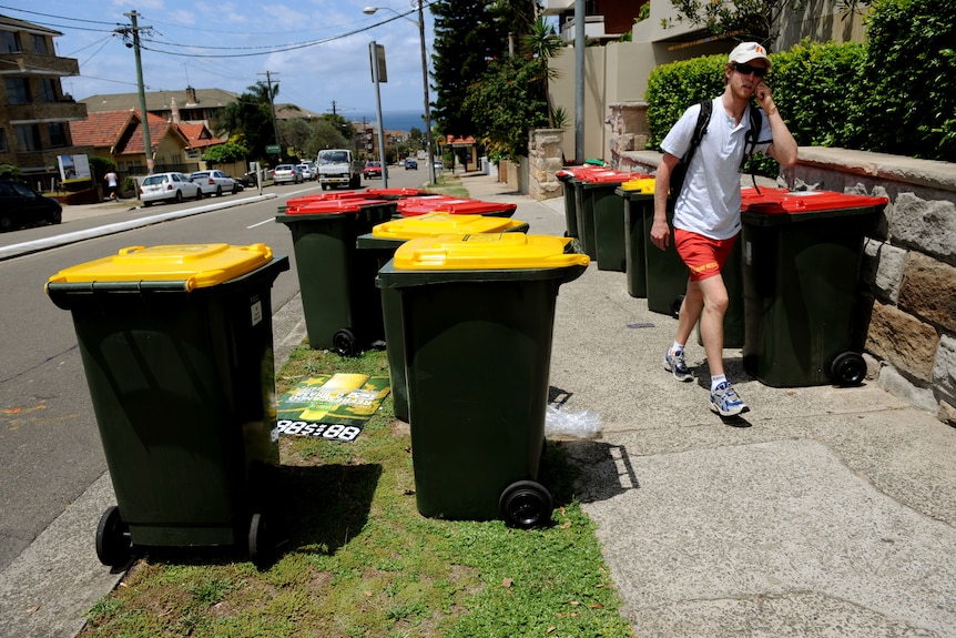 garbage bins on a street curb