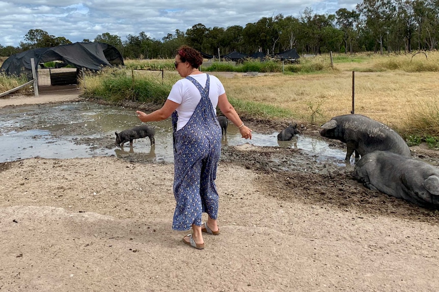 A woman stands with six pigs in a pen.