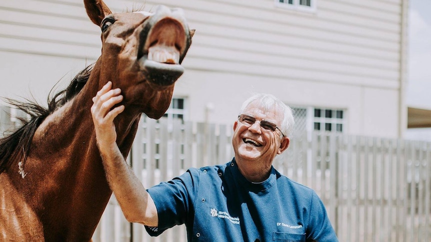 Mackay veterinarian Dr David Lemmon with a horse and a foal