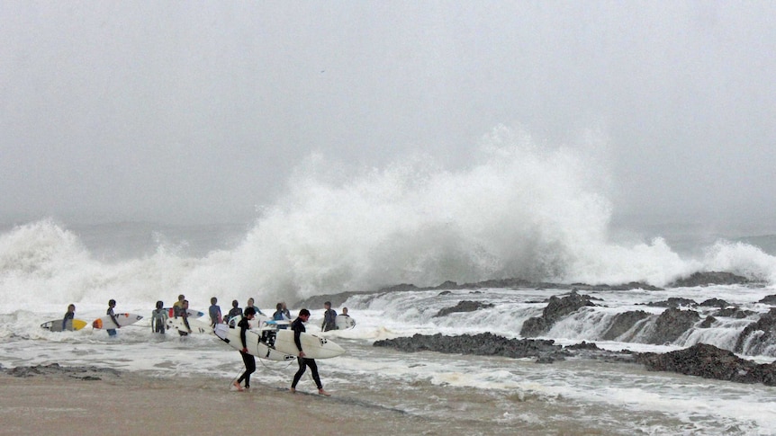 Surfers at Snapper