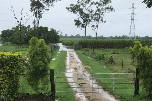 Ninety per cent of Laetitia Herrod's family farm at Murray Flats, south of Tully has been flooded.