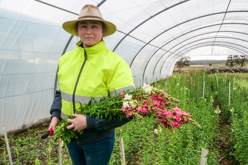 Melanie Van Der Meer is in charge of harvesting the flowers at the farm in Tallong in the Southern Highlands.
