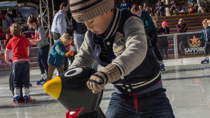 Using a penguin skating aid, preschoolers test the ice for the first time. 3 July 2014