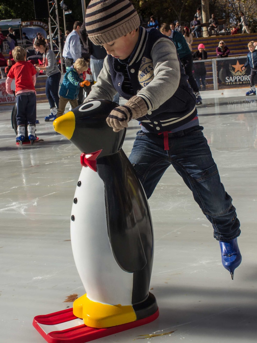 Using a penguin skating aid, preschoolers test the ice for the first time. 3 July 2014