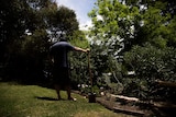 Ben leans on a shovel in his garden.