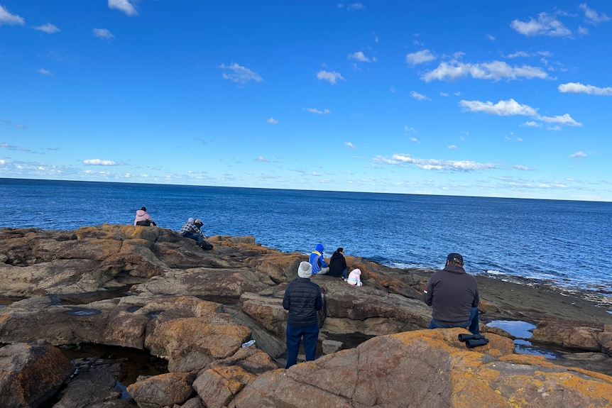 La gente se para en las rocas en Bass Point en busca de ballenas