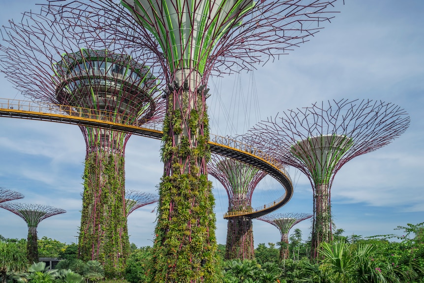 Singapore Gardens by the Bay