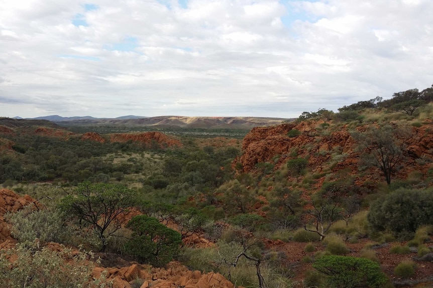 landscape hills