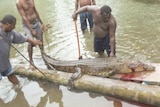 Five men stand ankle-deep in water around a dead crocodile bleeding from its mouth.