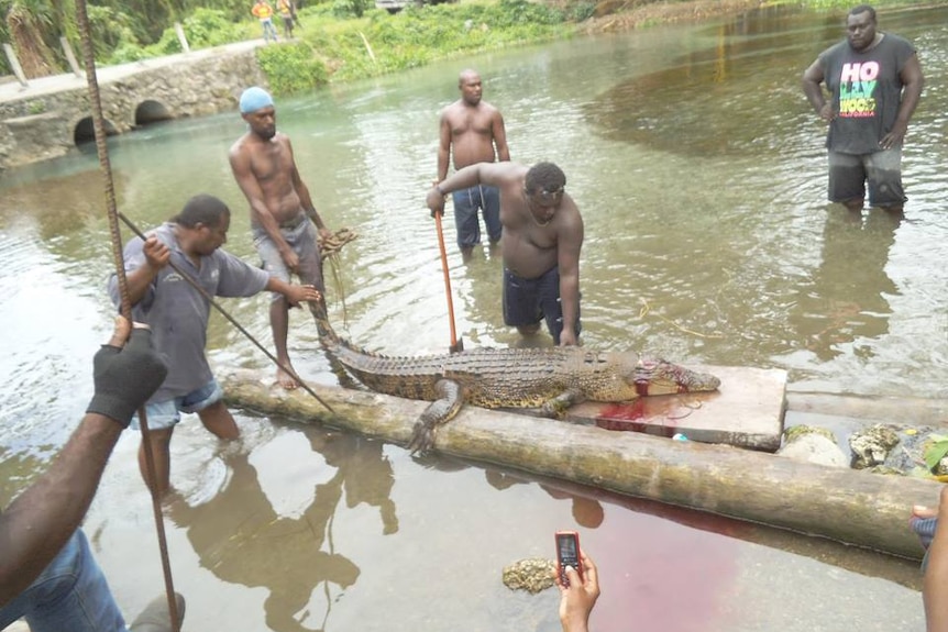 Five men stand ankle-deep in water around a dead crocodile bleeding from its mouth.