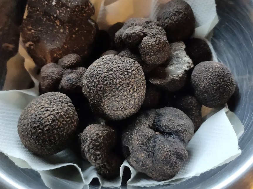 A silver bowl filled with black truffles.