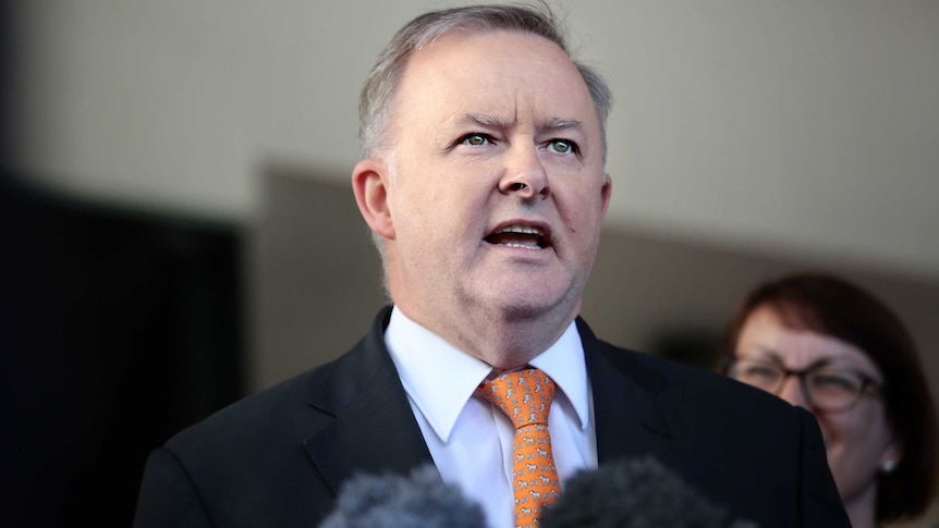 Anthony Albanese speaks into microphones at a press conference