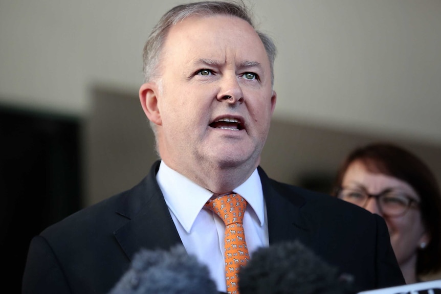 Anthony Albanese speaks into microphones at a press conference