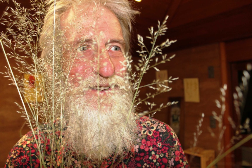 A close shot of white bearded Peter Latz holding long, fluffy tipped African Love Grass