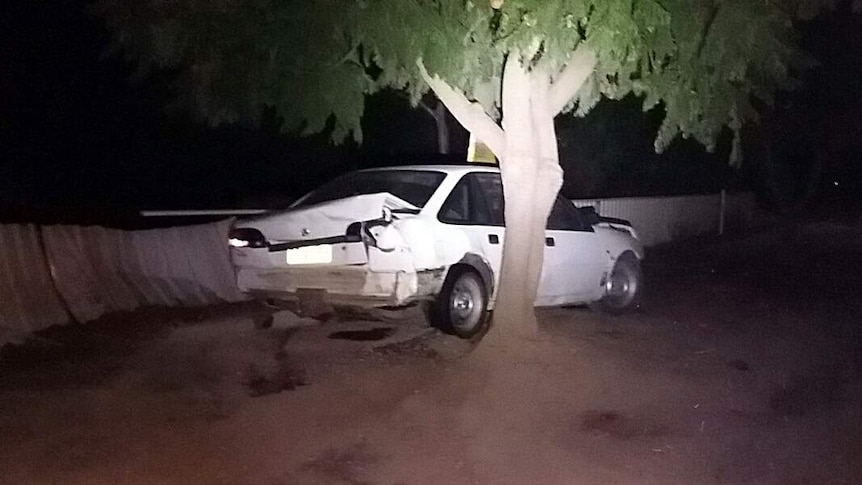 A white sedan rests against tree after collision.